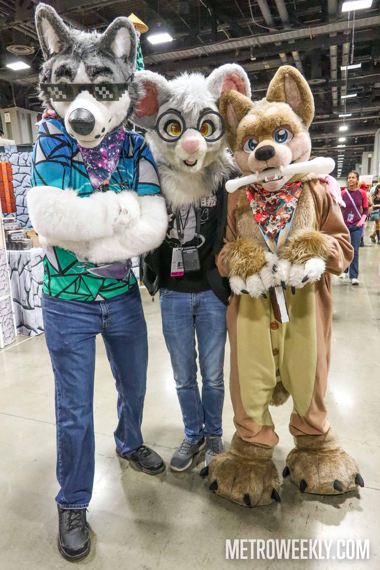 #18 of 212 : 2025-04-18_2989_176582.jpg