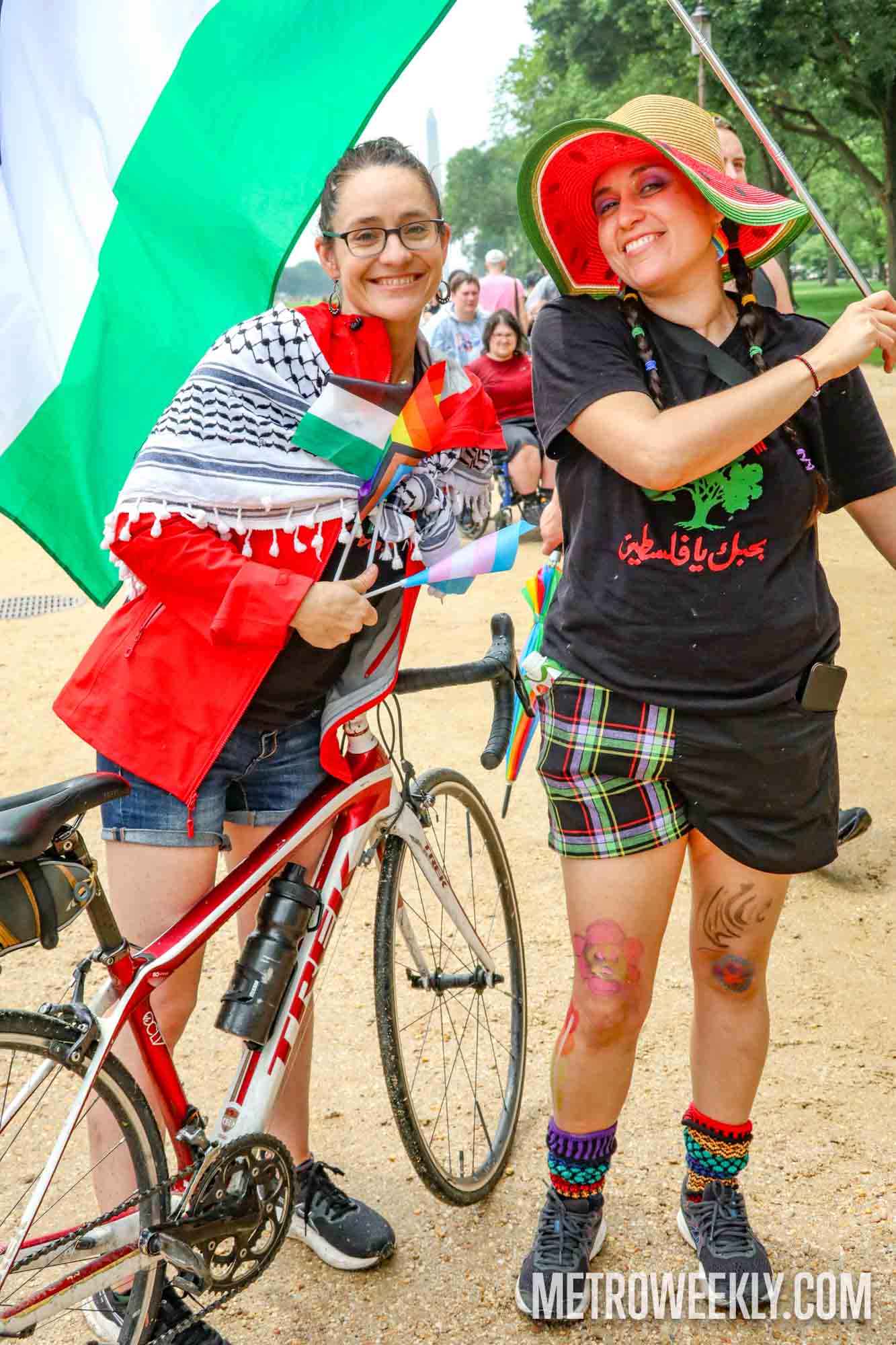 #15 of 33 : 2025-06-11_2995_176960.jpg