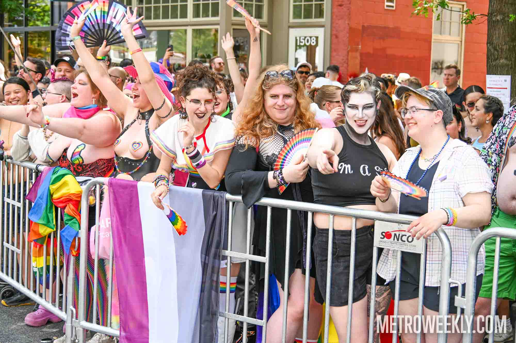 #21 of 58 : 2025-06-13_2999_177107.jpg