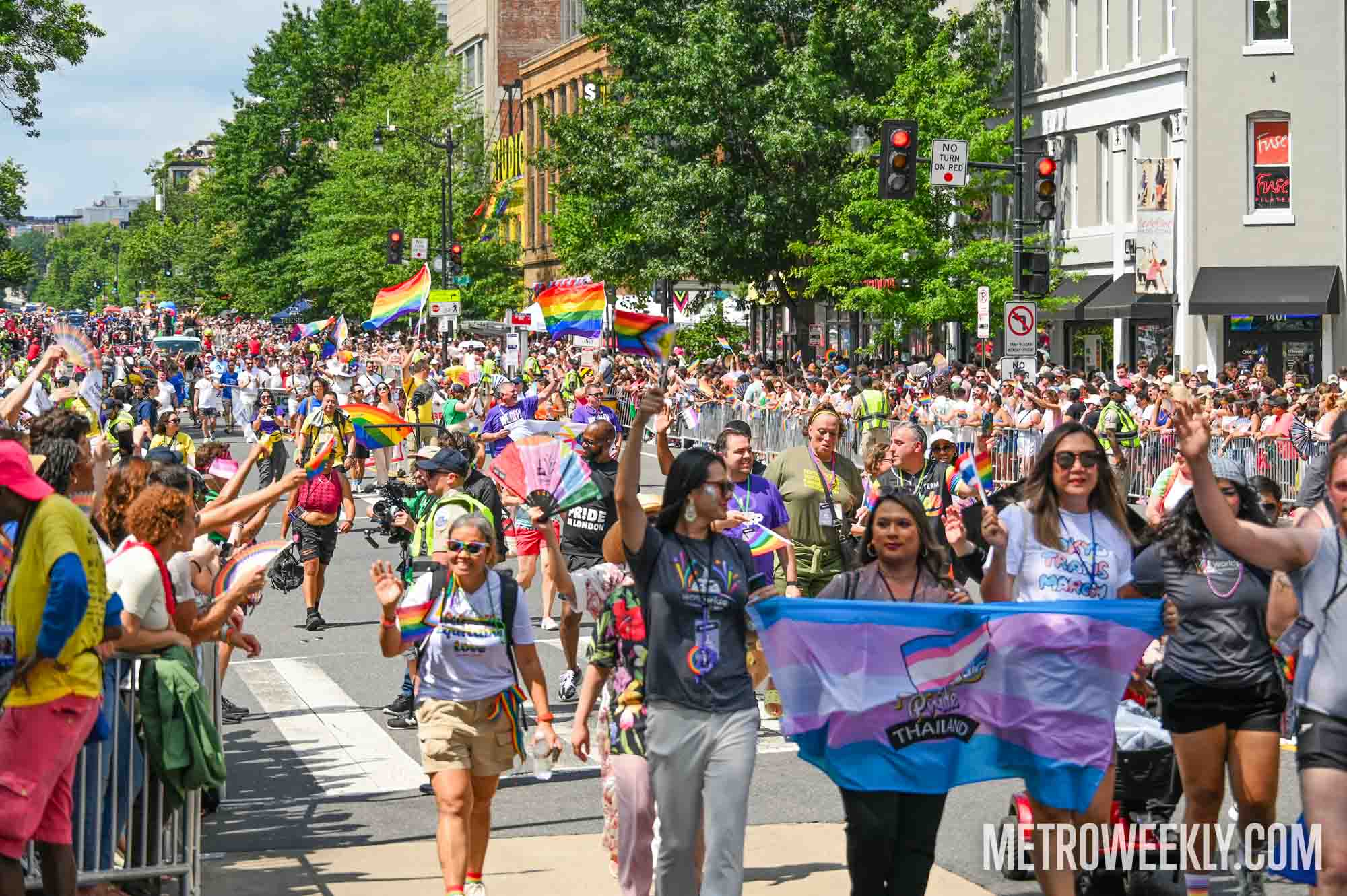 #27 of 58 : 2025-06-13_2999_177113.jpg