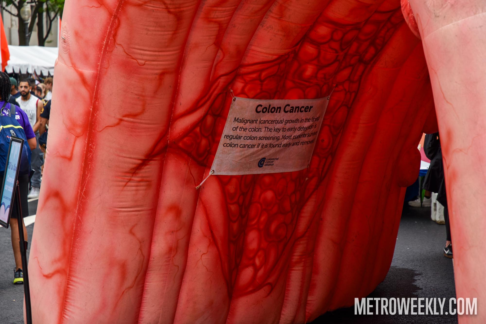 #17 of 119 : 2025-06-14_3007_177932.jpg