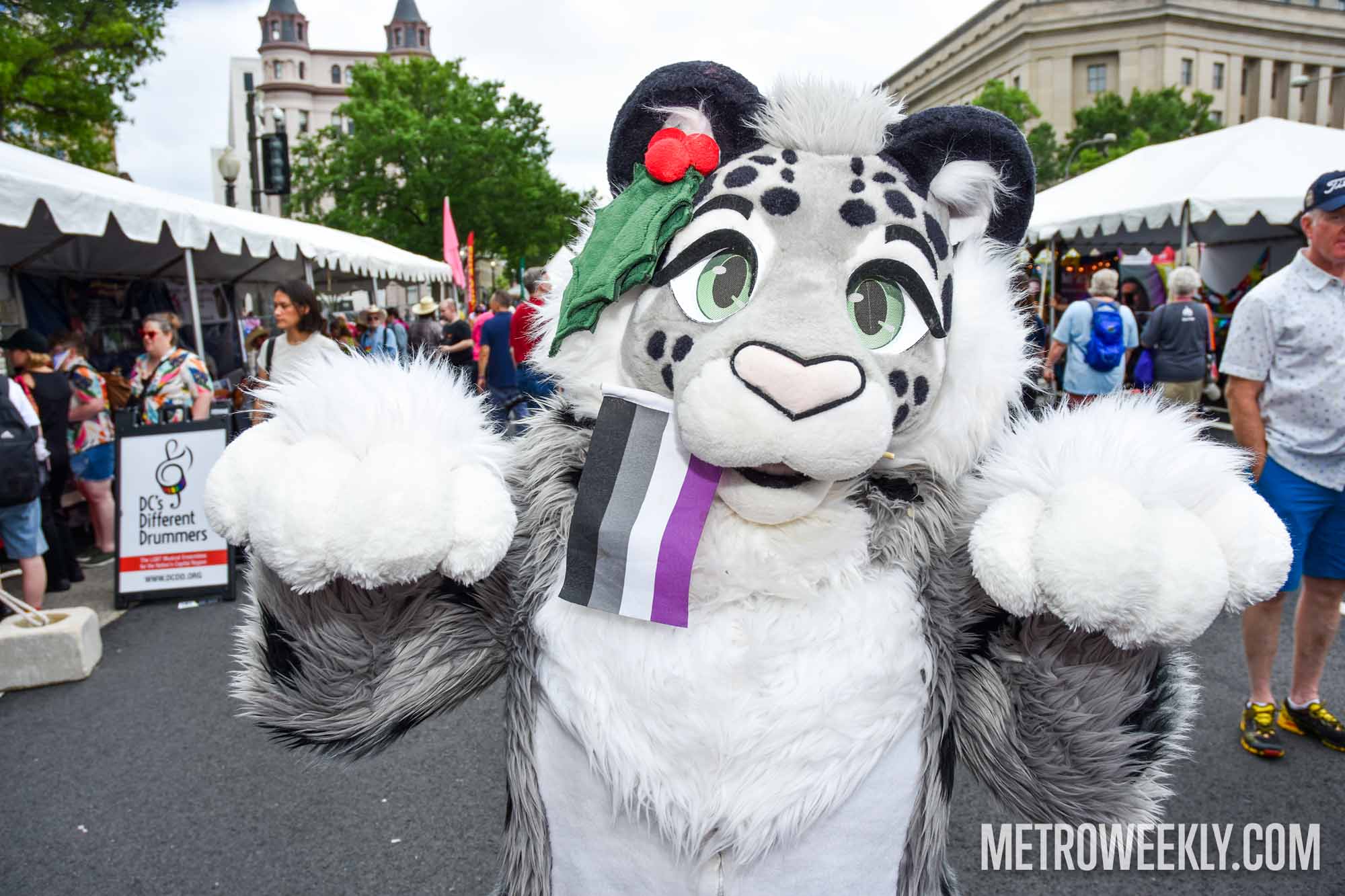 #44 of 119 : 2025-06-14_3007_177959.jpg