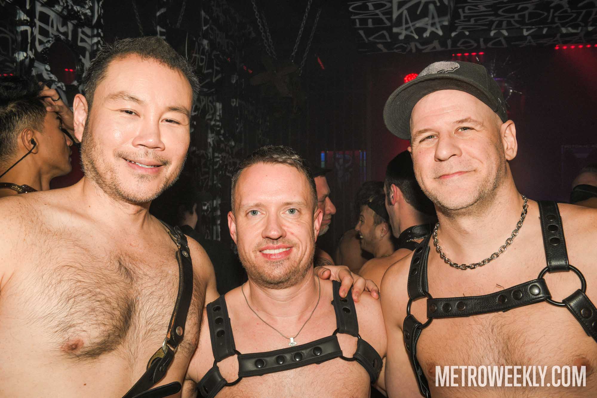 #80 of 81 : 2026-01-21_3025_179175.jpg